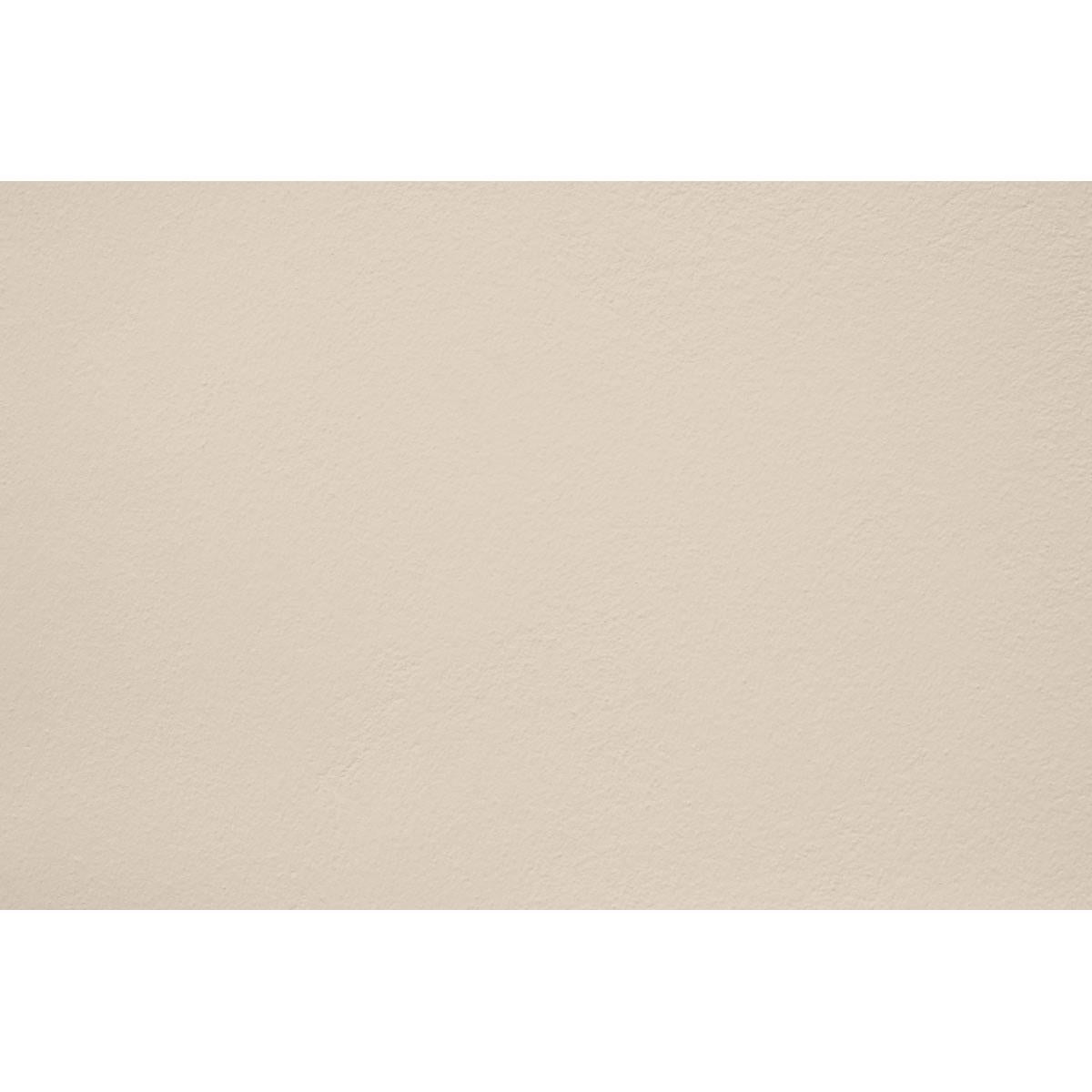 Peinture Wild ashes appliquée sur un mur - teinte beige gris