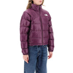 Vestes Bouffantes The North Face 2000 Retro Nuptse Down Jacket - Violet - Femme