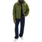 Vestes Bouffantes The North Face 1992 Ripstop Nuptse Down Jacket - Vert - Femme