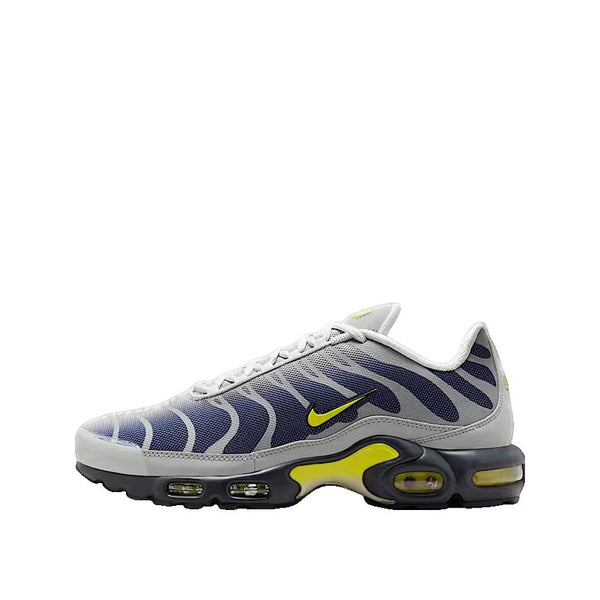 Baskets Air Max Plus - Argenté