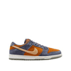 Baskets SB Dunk Low Pro - Gris