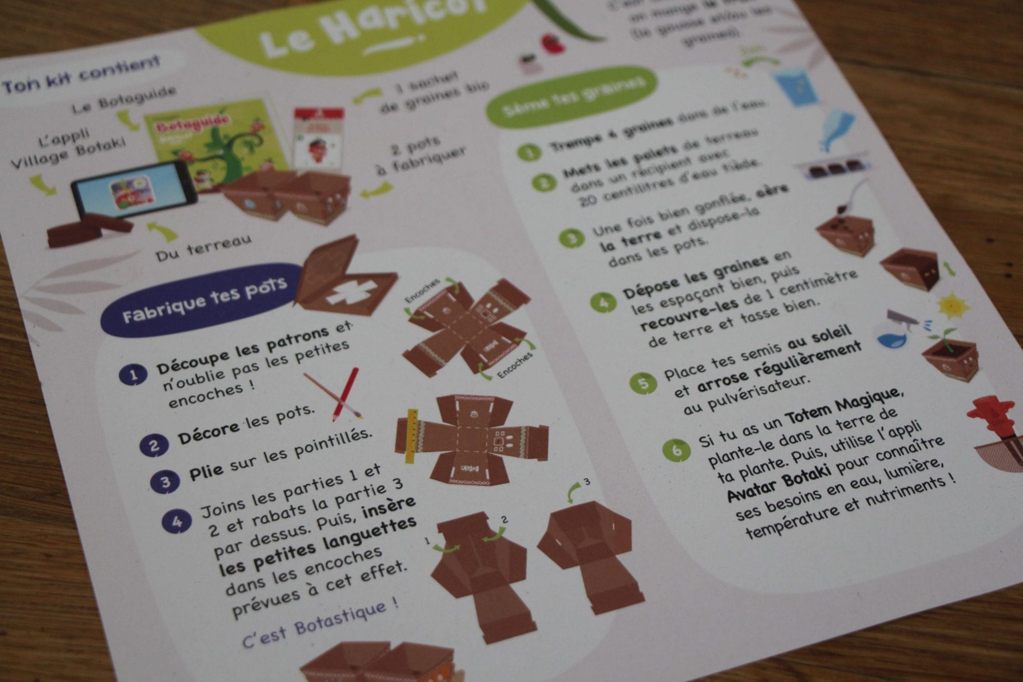 Kit Semis Haricot - Crée Ton Potager Maison