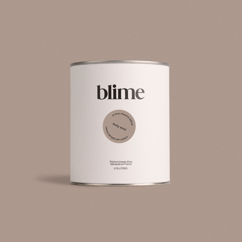 Pot de peinture 0,75L Dusty wind - teinte brun beige