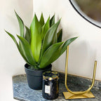 plante-artificielle-agave-plante-eternel