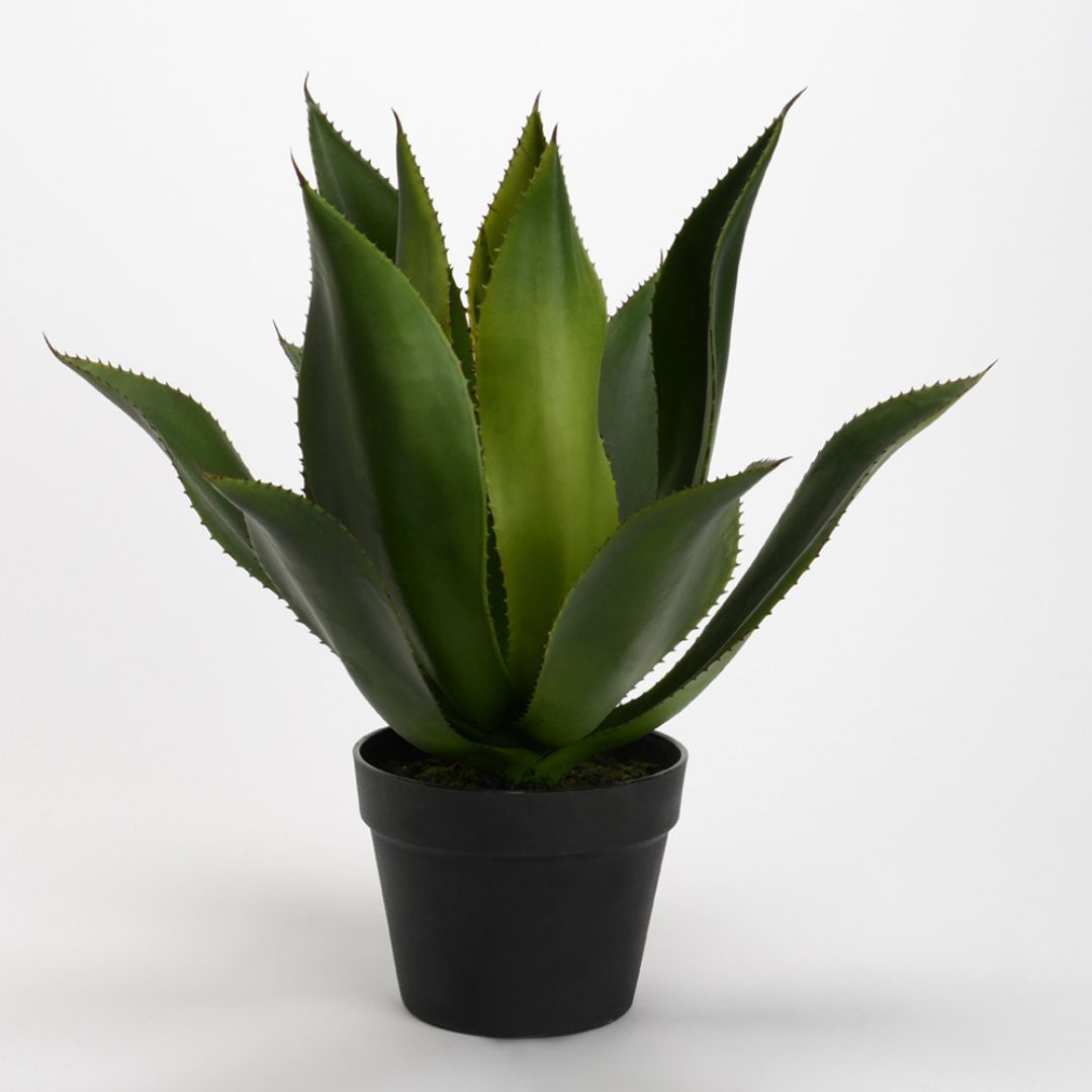 plante-artificielle-agave