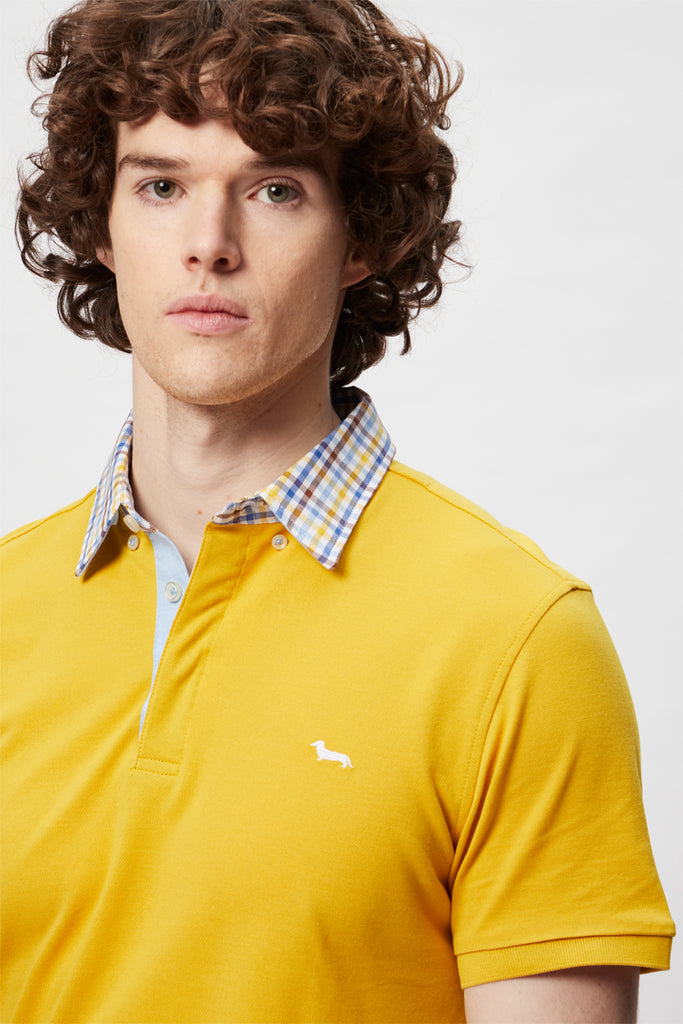 Polo Moutarde - Harmont & Blaine - Homme