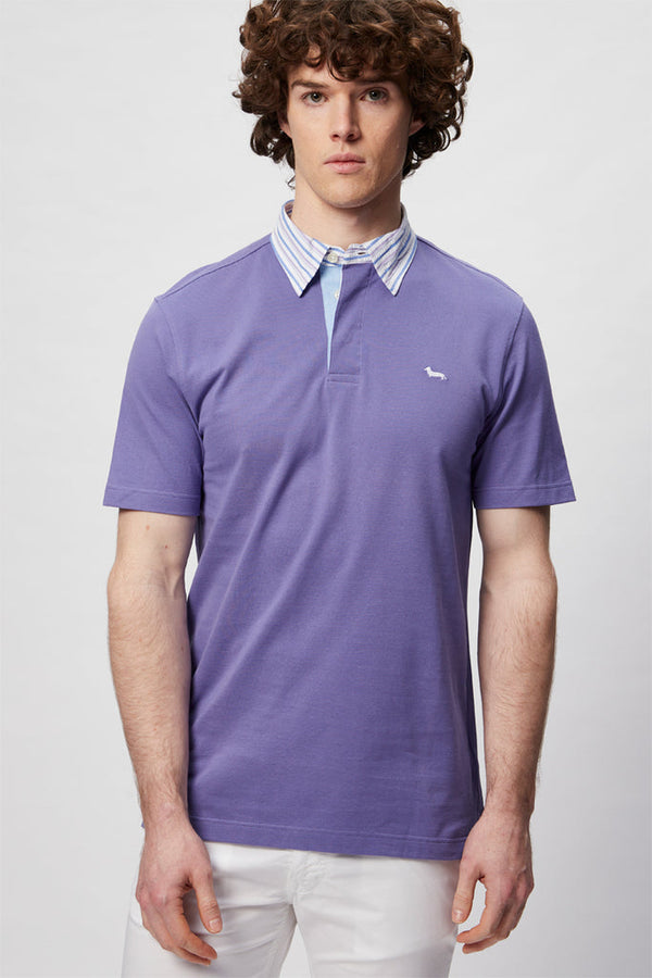 Polo Violet - Harmont & Blaine - Homme