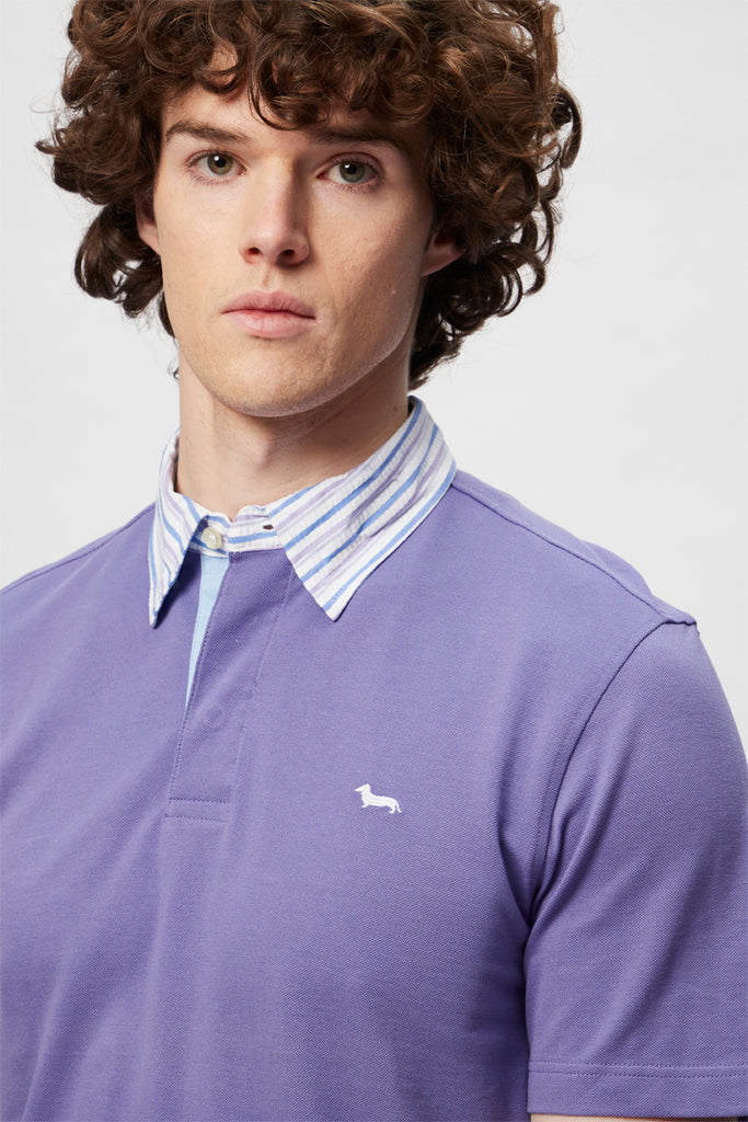 Polo Violet - Harmont & Blaine - Homme