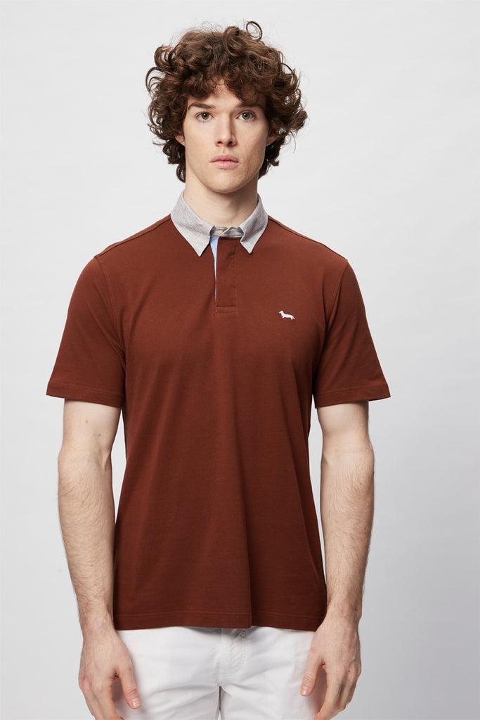 Polo Marron Foncé - Harmont & Blaine - Homme