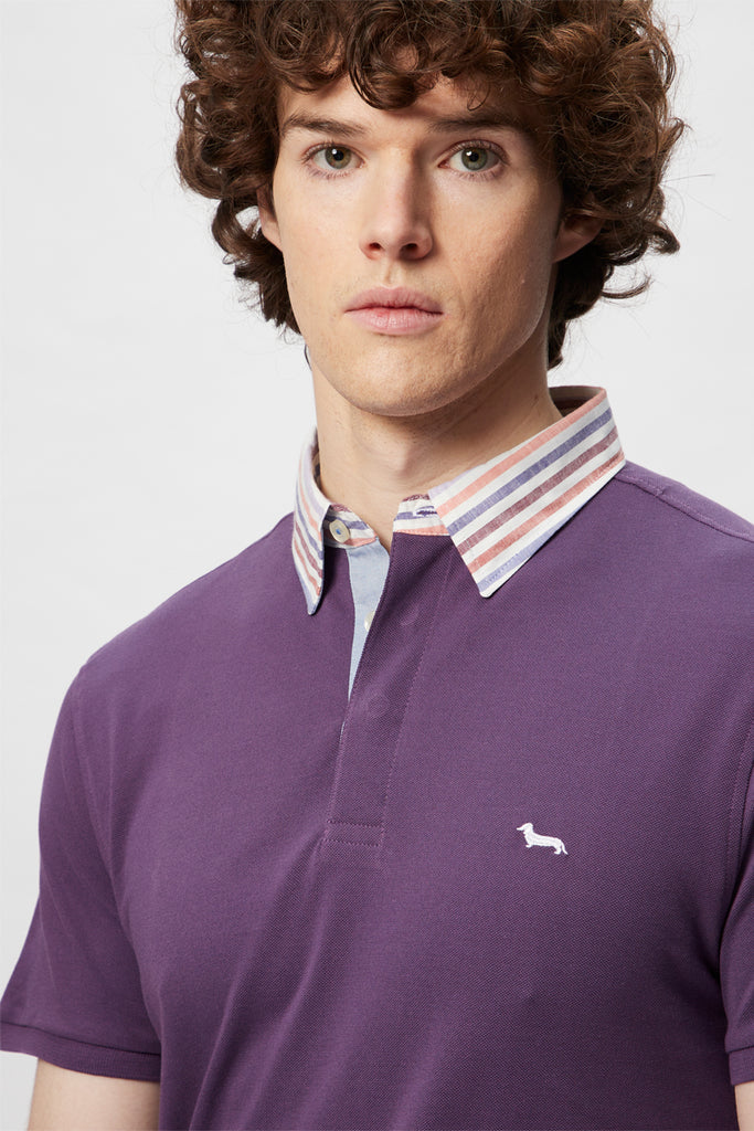 Polo Violet - Harmont & Blaine - Homme