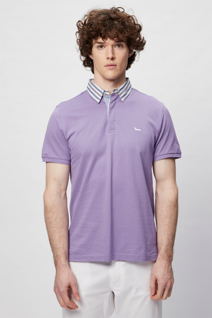 Polo Mauve - Harmont & Blaine - Homme