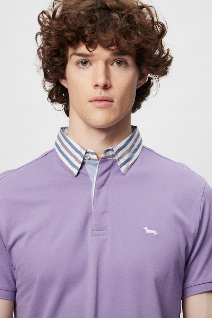 Polo Mauve - Harmont & Blaine - Homme