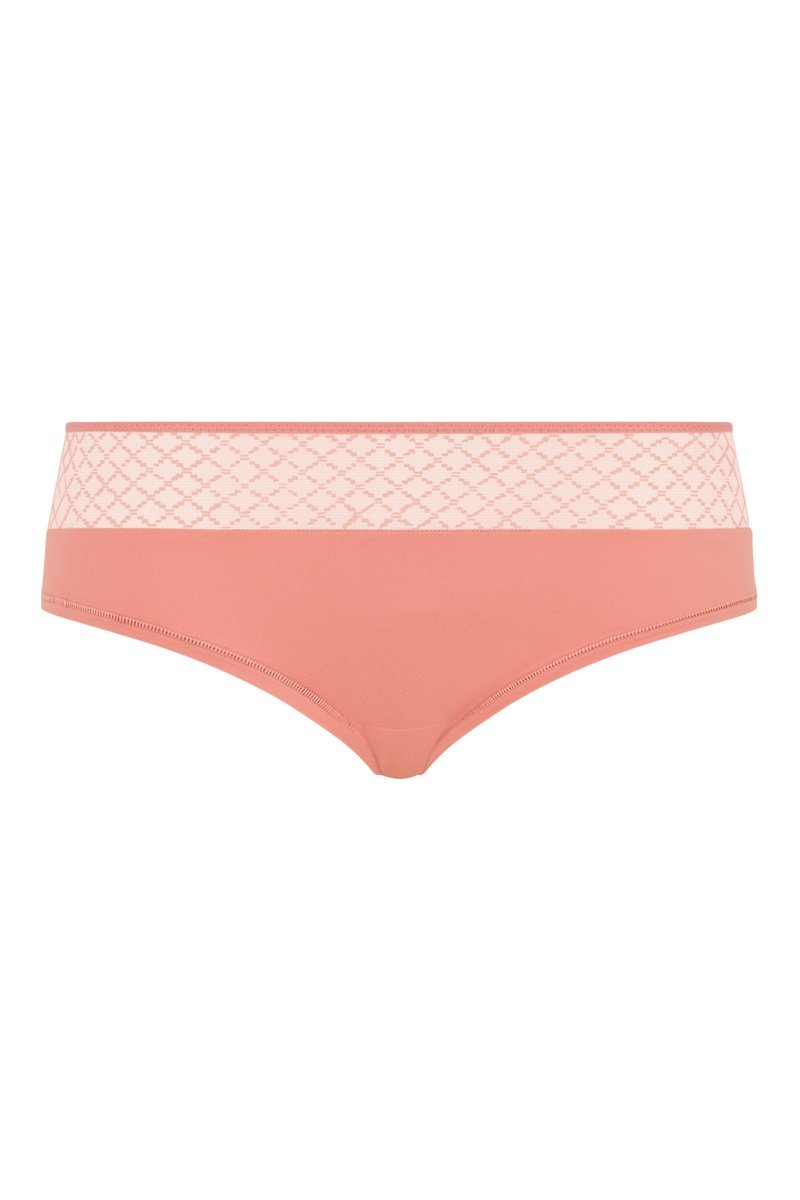 Shorty Norah Chi - Rose Canyo