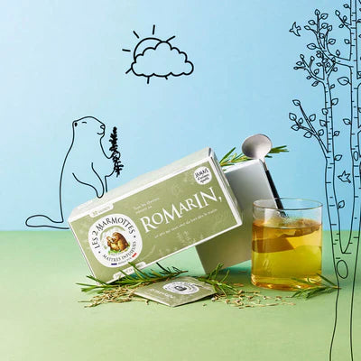 Infusion Romarin Bio - 30 Sachets
