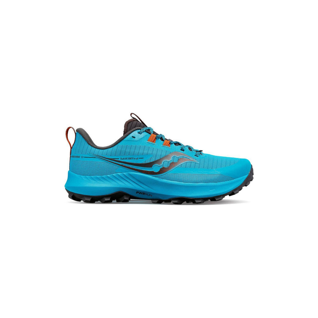 Running Peregrine 13 - Bleu - Homme