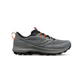 Running Peregrine 13 Gtx - Argenté - Homme