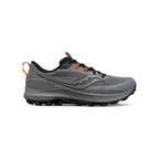 Running Peregrine 13 Gtx - Argenté - Homme