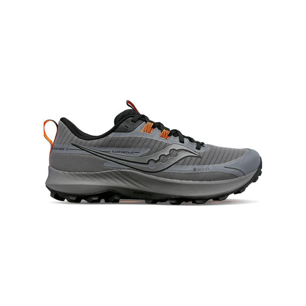 Running Peregrine 13 Gtx - Argenté - Homme