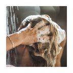 Recharge Eco-Pack De Shampoing - 250Ml