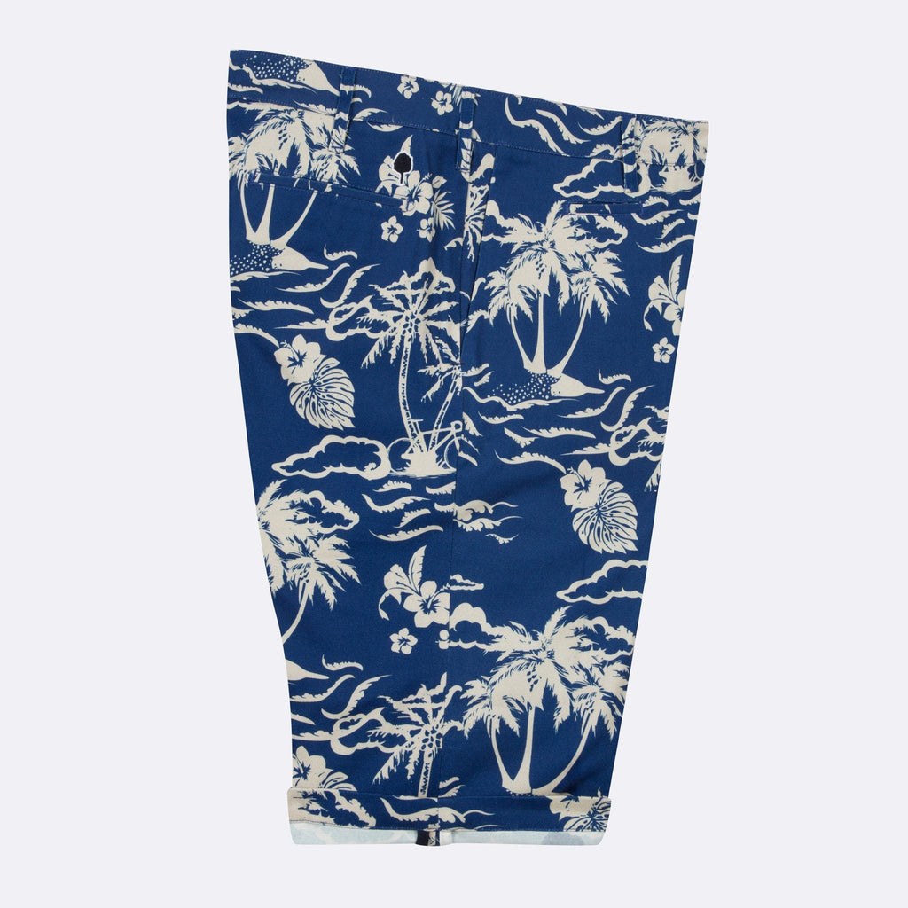 Short Saulieu Cotton - Bleu/Ecru - Homme