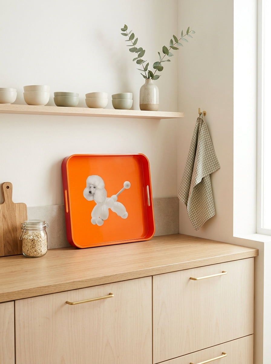 Mykonos - Plateau Carré Chien - PVC