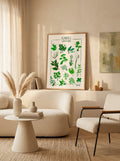 Maud Peloq - Plantes Aromatiques