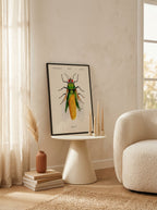 Béto Val - Corn Insect
