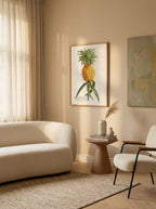 Sciences Naturelles - Ananas