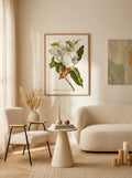 Sciences Naturelles - Magnolia