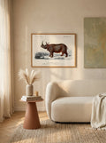 Sciences Naturelles - Rhinocéros
