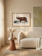 Sciences Naturelles - Rhinocéros