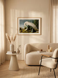 Sciences Naturelles - White Heron