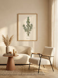 Sciences Naturelles - Rosemary,Romarin