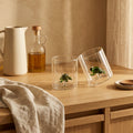 Monterey - Lot De 2 Gobelets Grenouilles - Verre Borosilicate - 250ml