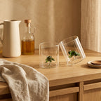 Monterey - Lot De 2 Gobelets Grenouilles - Verre Borosilicate - 250ml