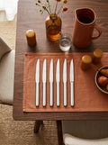 Concorde - Set De 6 Couteaux Steak - Acier Inoxydable - Inox