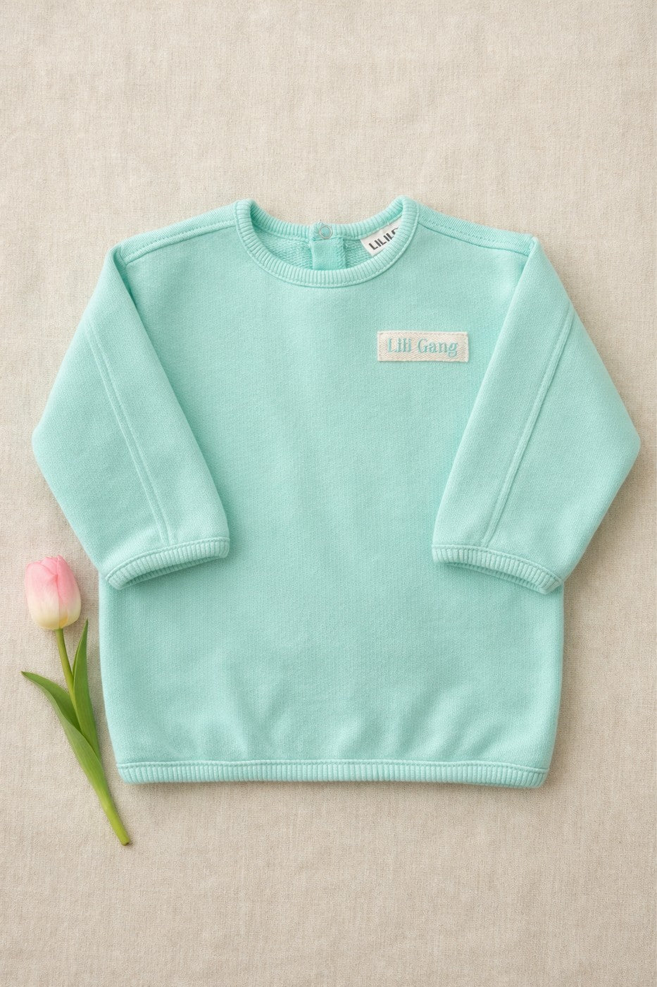 Sweat Solal Menthe - Bébé Garçon - Mint