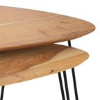 table basse en bois et pieds en metal lot de 2 kiwi