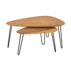 table basse gigogne kiwi en bois lot de 2