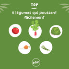Kit Semis Tomate - Crée Ton Potager Maison