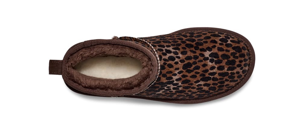 Mini Caspian - Marron