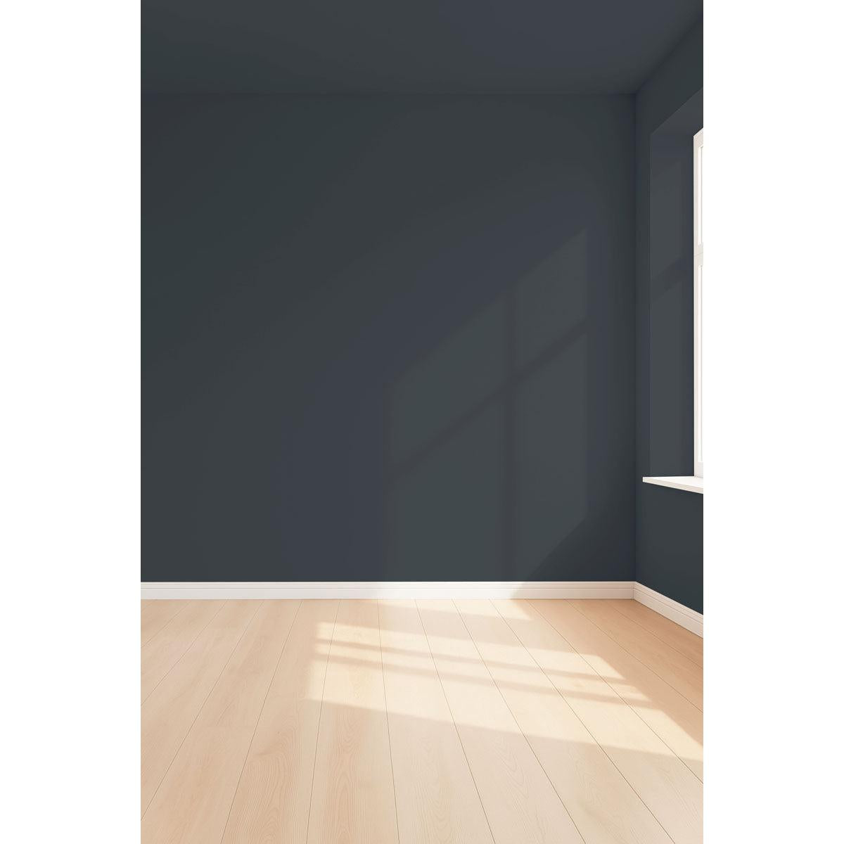 Visualisation 3D de la peinture Dark side avec ombres - teinte noir ardoise