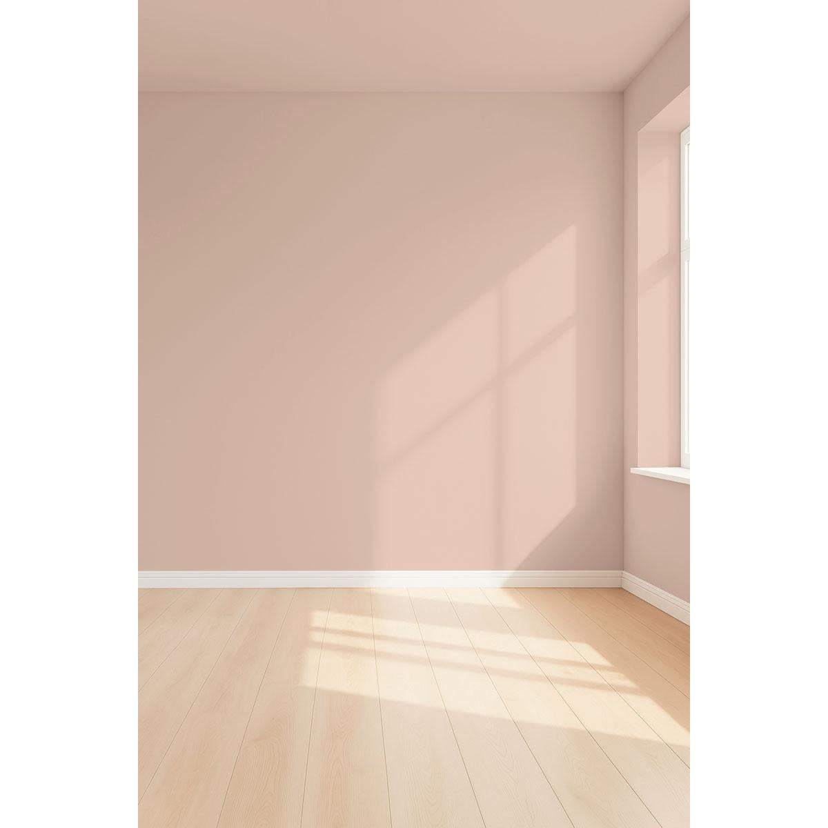 Visualisation 3D de la peinture Kashmir road avec ombres - teinte rose beige poudre