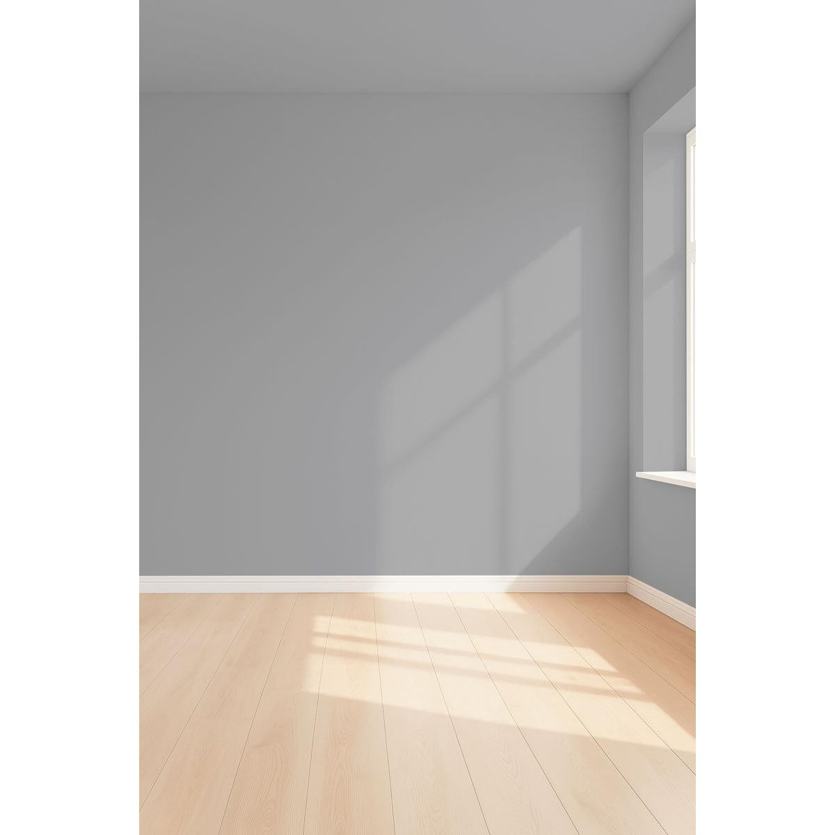 Visualisation 3D de la peinture Liquid cement avec ombres - teinte gris souris