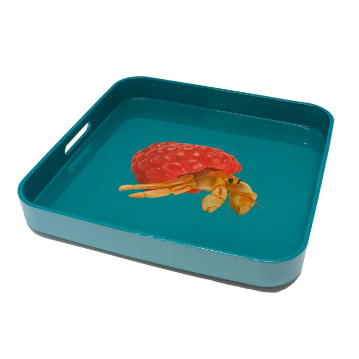 Mykonos - Plateau Carré Bernard-l'hermite - PVC